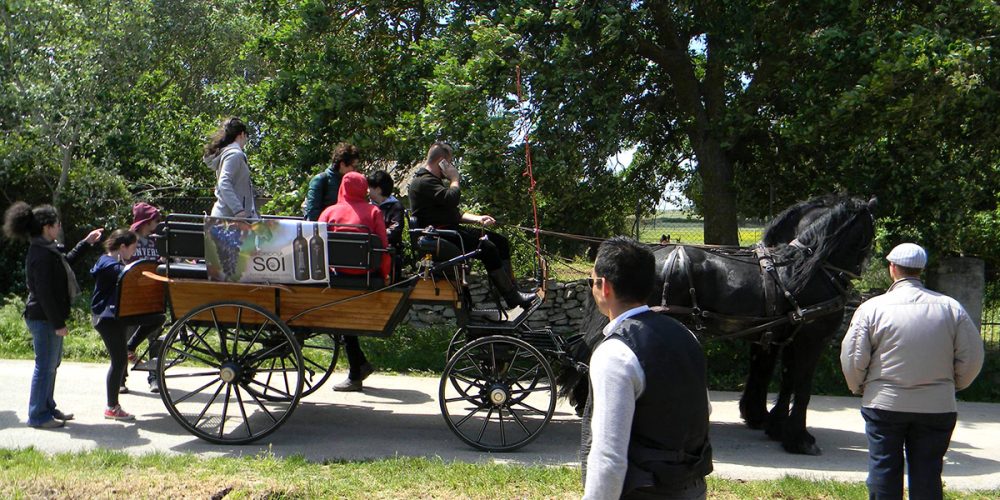 Archaeological tour in a wagon