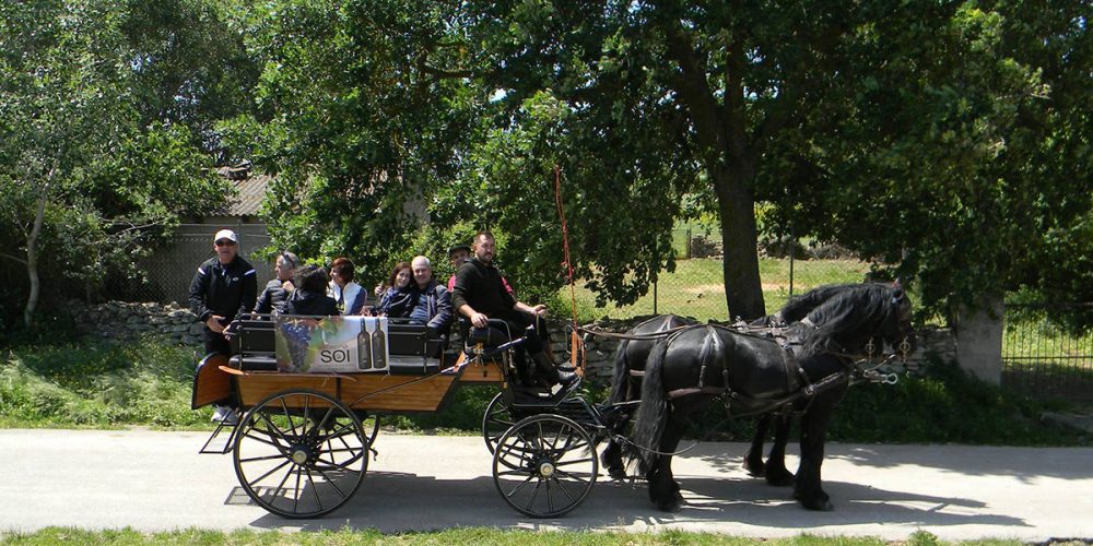 Archaeological tour by wagon